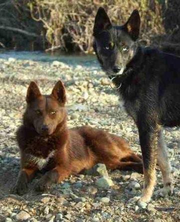 Sierra and Coca